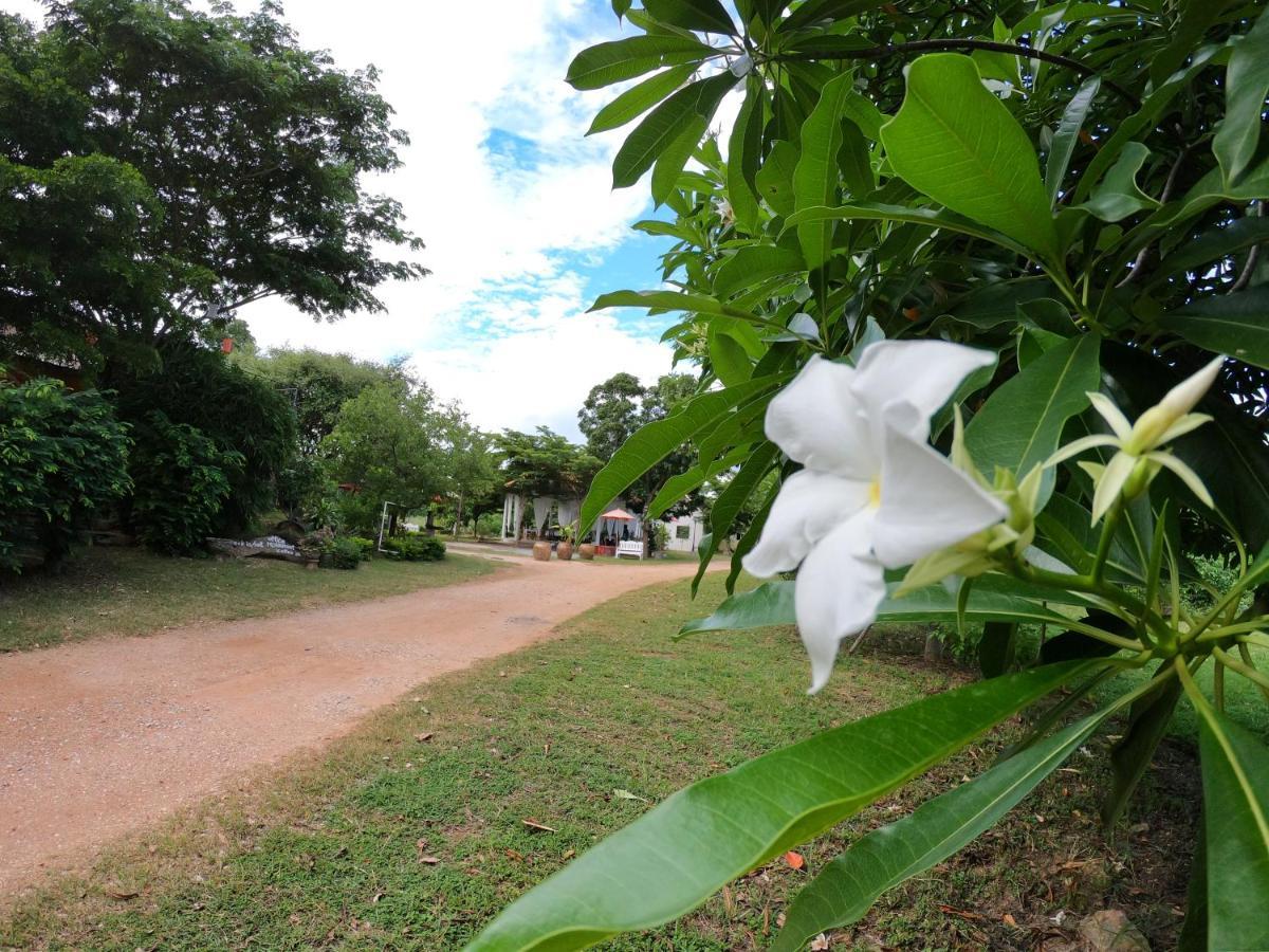 Naracha Resort Mueang Kao Екстер'єр фото